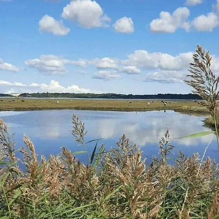 Stunning With View Over Limfjord *