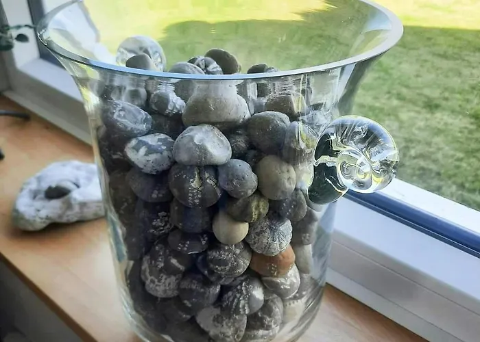 Stunning With View Over Limfjord Hébergement de vacances Thyholm